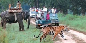 Jim corbett