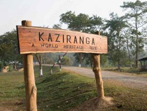 kaziranga-national-park